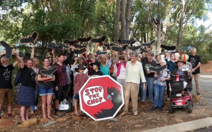 a large group of people protesting cockatoo decline